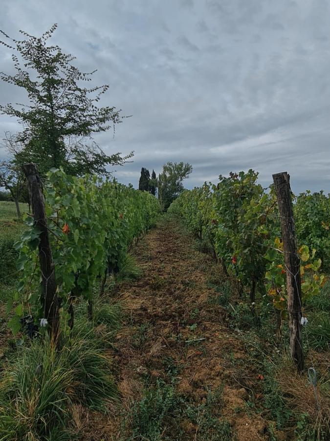 Podere Borgaruccio Peccioli Exterior foto